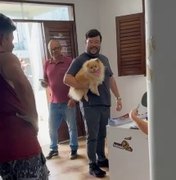 Cadelinha Love é devolvida à família após ser furtada na porta de casa em Arapiraca