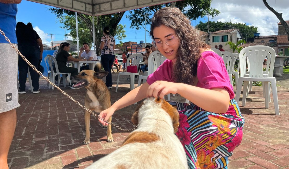 PL aprovado em Maceió restringe fogos de estampido para proteger pessoas e animais