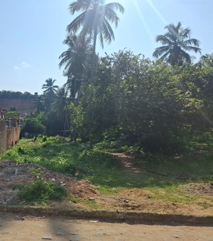 Moradores denunciam queimada em terreno no bairro de Ipioca, em Maceió
