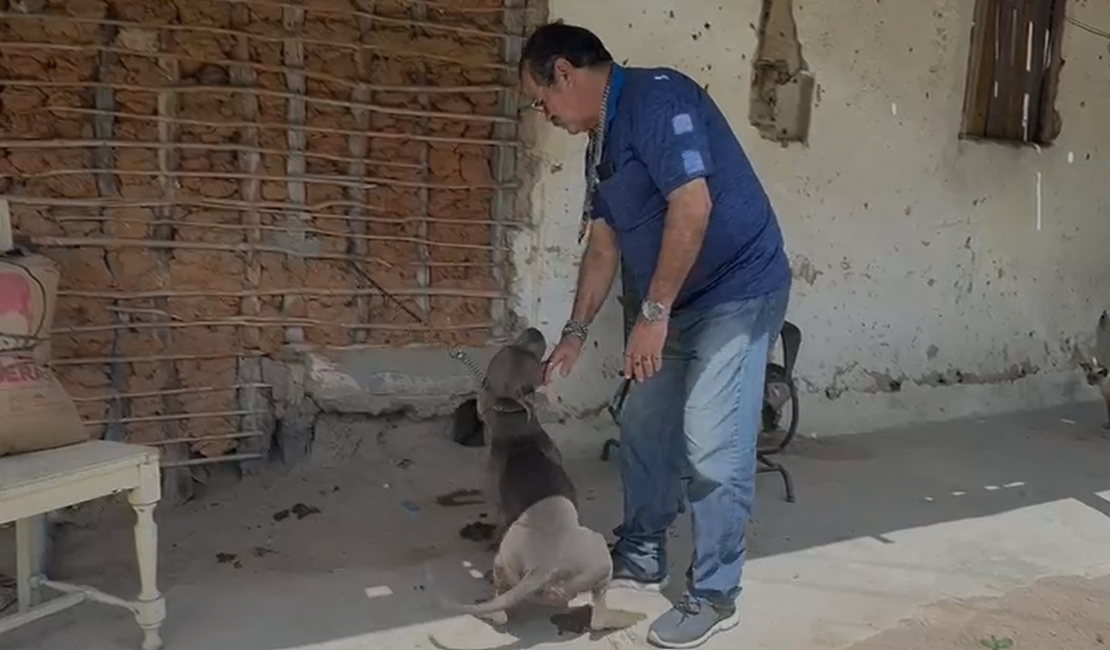 Após denúncia, Polícia Civil resgata cães vítimas de maus-tratos em Dois Riachos