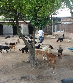 CRAE solicita doações para cães e gatos que estão sem ração