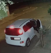 Cachorro é abandonado e corre atrás do carro do tutor