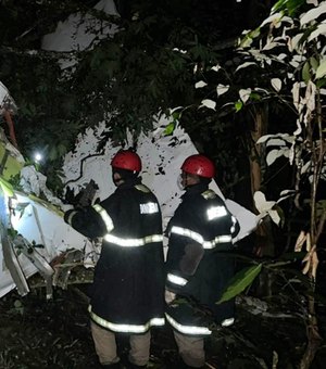 Piloto e mais 3 pessoas morrem em queda de avião em região de mata em Mato Grosso