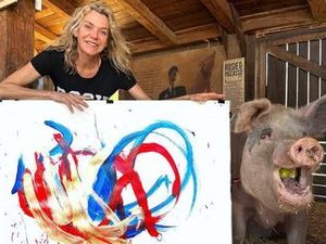Conheça 'Pigcasso', a porca pintora, que já vendeu quase R$ 5 milhões em quadros