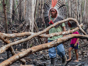 Povos indígenas em AL sofrem ameaças e são expulsos de terras