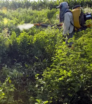 Governo vai monitorar presença de agrotóxico em bacias hidrográficas