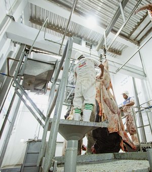 Campo Alegre rebate denúncia e afirma que atraso no matadouro foi de apenas alguns dias