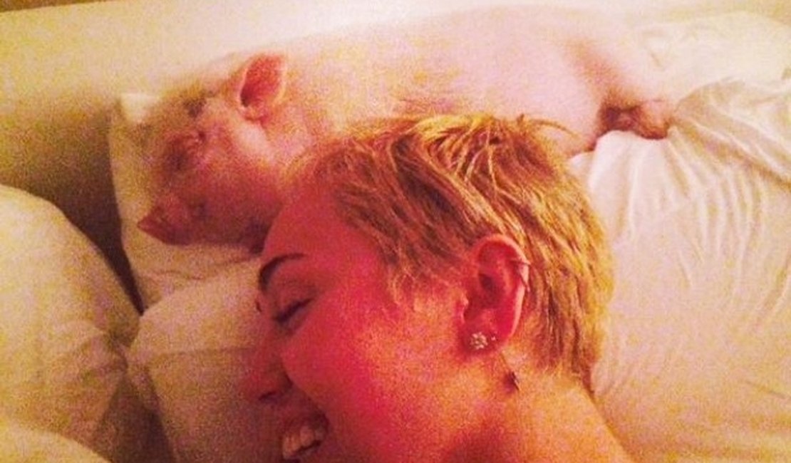 Miley Cyrus dorme com porquinho na cama e posta foto na web