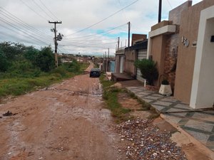 [Vídeo] Criação de gado na área urbana provoca mau cheiro e atrai insetos