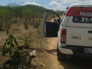 PM destrói plantação de Maconha na Zona Rural de Canapi