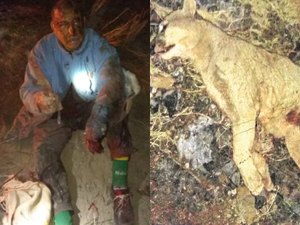 Argentino luta contra onça-parda para salvar cachorro