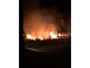 Incêndio atinge coqueiros de Ponta de Mangue em Maragogi
