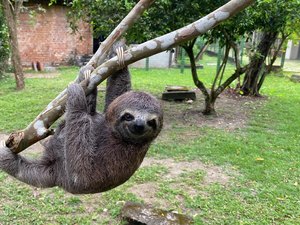 Do resgate à liberdade: veja balanço do trabalho do Cetas em 2025