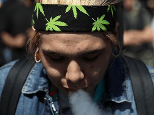 Organização busca interessados em receber R$ 12 mil por mês para 'fumar maconha'