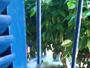 Reeducando é morto na porta de escola no bairro do São Jorge