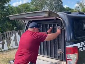 [Vídeo] Polícia prende homem por crimes de maus-tratos e zoofilia em Murici