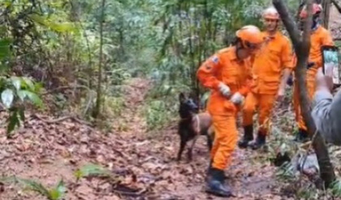 Corpo de homem desaparecido é encontrado em cova rasa em mata de Rio Largo