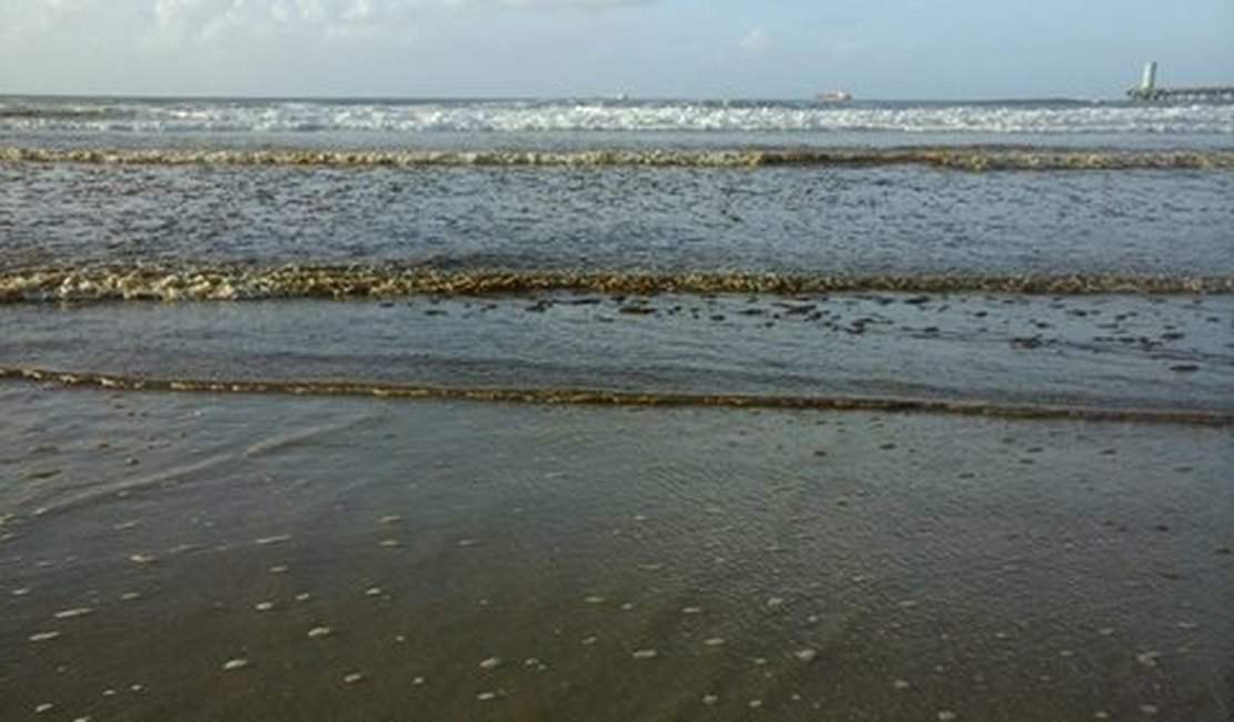 Mancha na Praia do Sobral é causada por microalgas