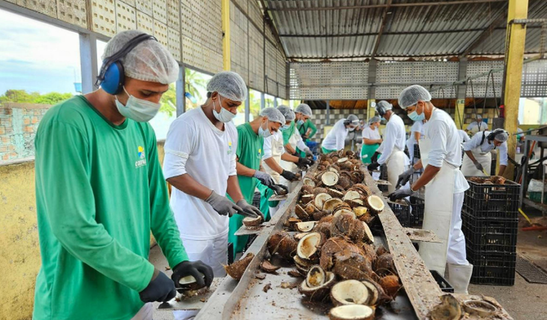 Edital prioriza cooperativas tradicionais no abastecimento de escolas indígenas e quilombolas