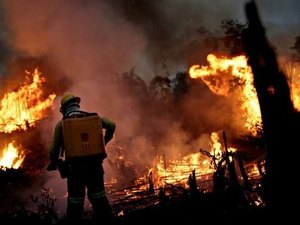 Governo prorroga uso da Força Nacional na Amazônia
