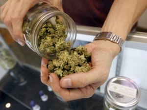Polícia investiga sumiço de quase uma tonelada de maconha de delegacia