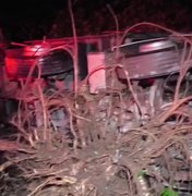 Caminhão tomba e derruba árvore na BR-101 em Colônia Leopoldina