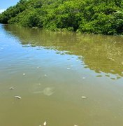 Peixes mortos: laudo da Ufal aponta agrotóxicos no rio Santo Antônio