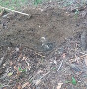 Corpo de jovem desaparecido é encontrado esquartejado e enterrado em terreno baldio