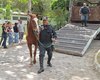 Cavalo da PM-AL é doado ao Ifal para uso em ensino e pesquisa agropecuária