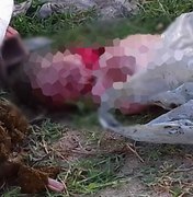 Corpo de bebê é encontrado dentro de sacola no Bairro Parque dos Faróis