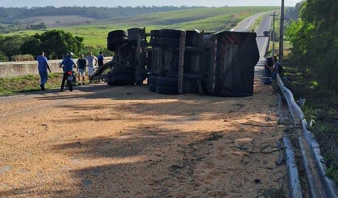 Carreta tomba na BR 101 e deixa carga de milho espalhada na pista