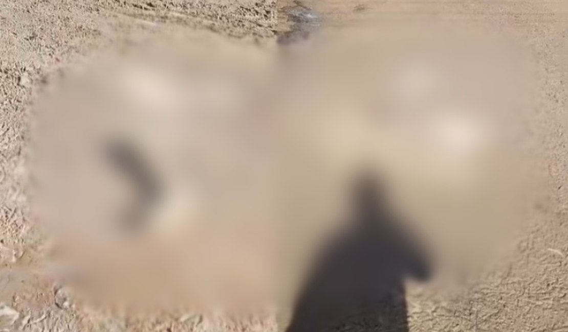 Populares encontram partes de corpo esquartejado em zona rural de São Luís do Quitunde