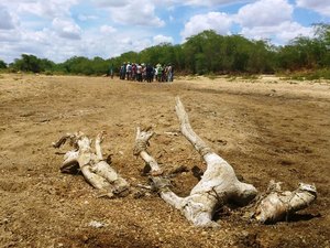 Moradores impedem extração de areia de rio em município do Agreste