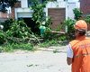 Defesa Civil de Maceió registra três ocorrências após ventos fortes no fim de semana