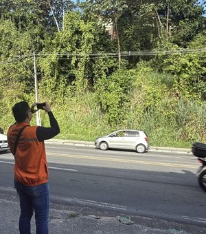 Defesa Civil de Maceió recomenda retirada de árvores em áreas de risco
