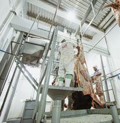 Trabalhadores de matadouro em Campo Alegre denunciam dois meses de salários atrasados