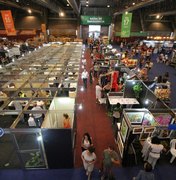 Feira de Artesanato tem estandes de artesãos roubados