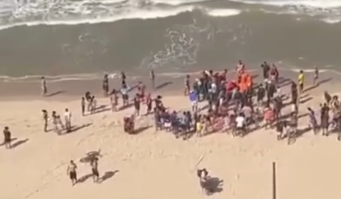 Criança de 11 anos é mordida por tubarão em praia de Pernambuco