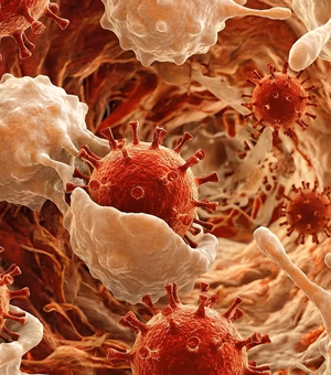 Surto de Nipah no Carnaval? Entenda se há risco para o Brasil e quais os sintomas