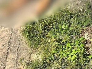 Homem é morto a tiros com o filho colo em Maceió; atirador carregava bíblia na mão