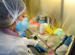 Fapeal lança editais que financiam pesquisas científicas sobre o vírus da Zika