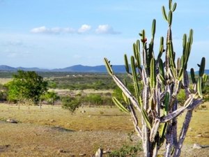 Chuvas devem se intensificar nos próximos dois anos, afirma meteorologista