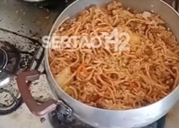 Sertanejos de Alagoas que estão em Minas Gerais denunciam trabalho análogo a escravidão