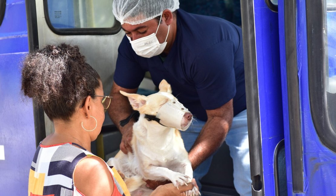 Programa Castra Pet abre novo cadastro para castração de cães e gato em Penedo