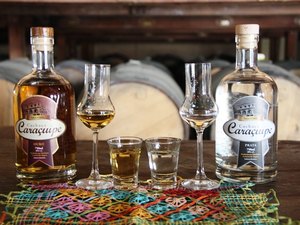 Cachaça alagoana é referência no mercado nacional
