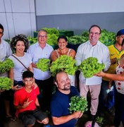 Arapiraca gera mais empregos e renda no meio rural com ampliação do Cinturão Verde