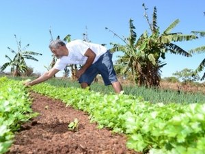 Governo vai liberar mais de R$ 2 milhões para pequenos negócios no Estado