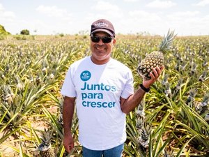 De abacaxis a pães: produtores transformam realidade através do empreendedorismo