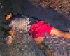Jovem envolvido com drogas morre baleado no município de Porto de Pedras