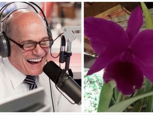 Admirador de Boechat registrou orquídea com o nome do jornalista